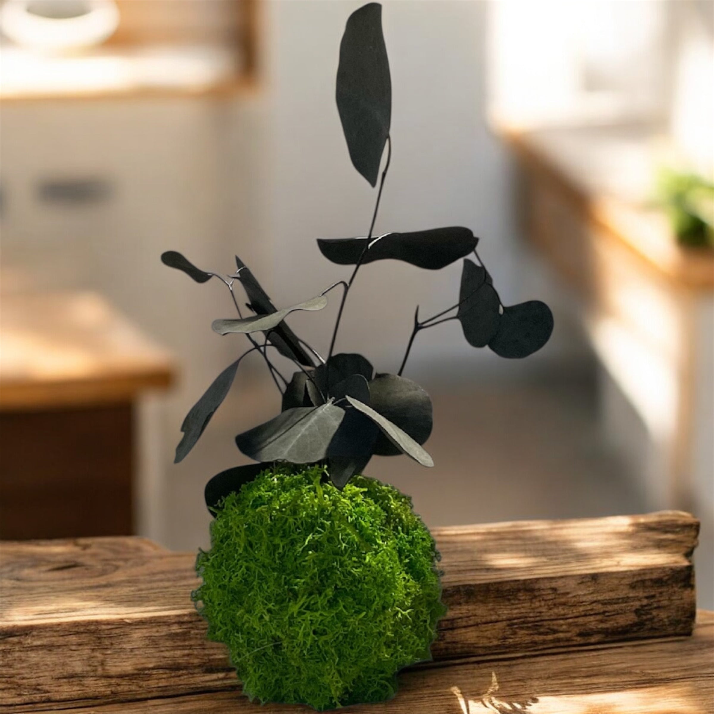 Kookedama muschio verde mela con Amaranthus caudatum stabilizzato