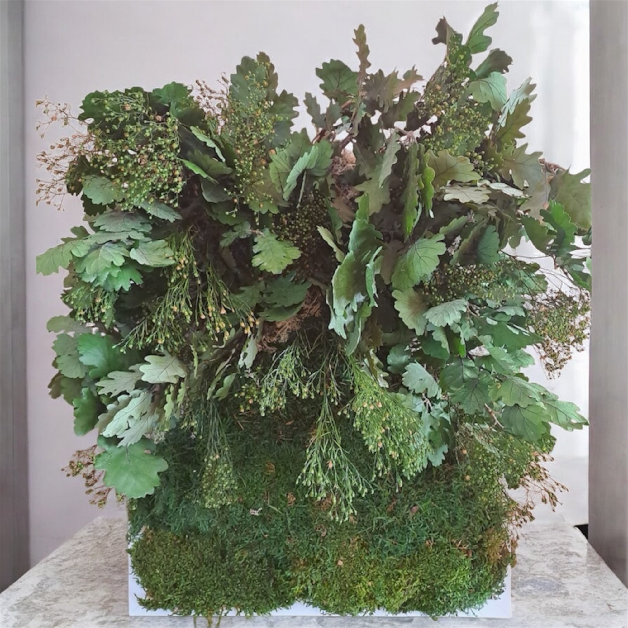 Quadro di verde e piante stabilizzate