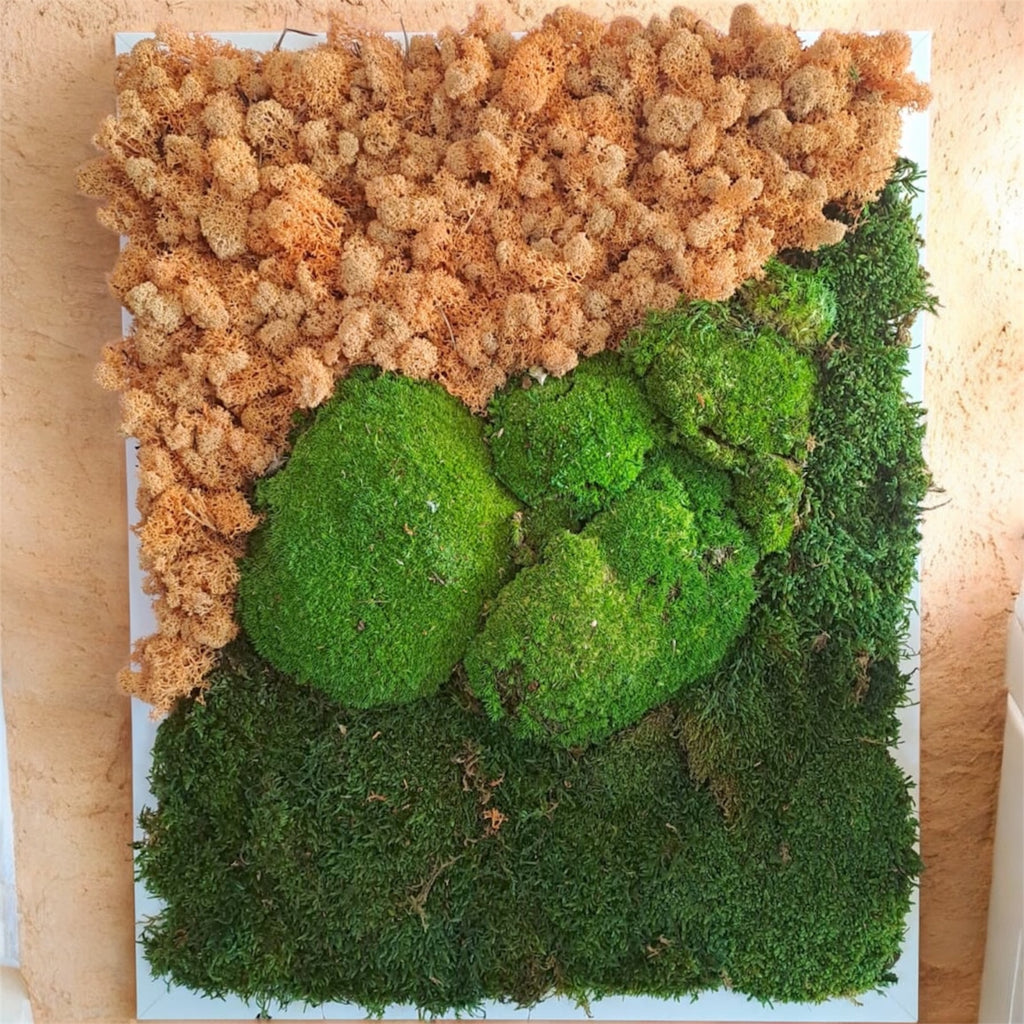 Quadro di verde e piante stabilizzate