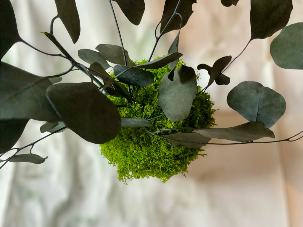 Kookedama muschio verde mela con Amaranthus caudatum stabilizzato