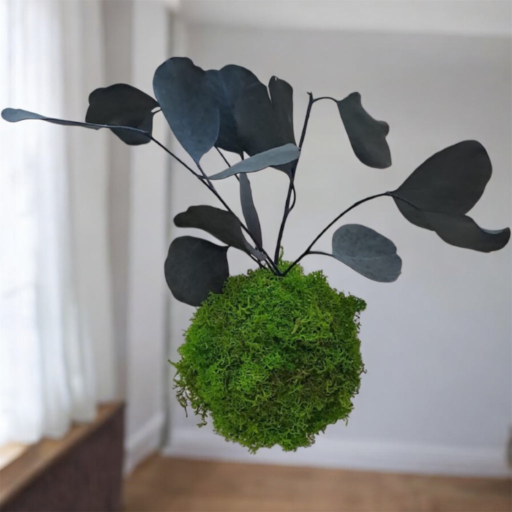 Kookedama muschio verde mela con Amaranthus caudatum stabilizzato