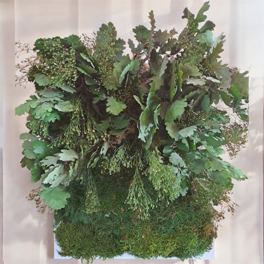 Quadro di verde e piante stabilizzate