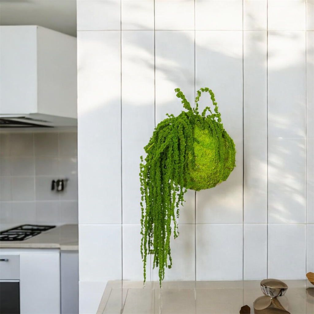 Kookedama muschio verde mela con Amaranthus caudatum stabilizzato