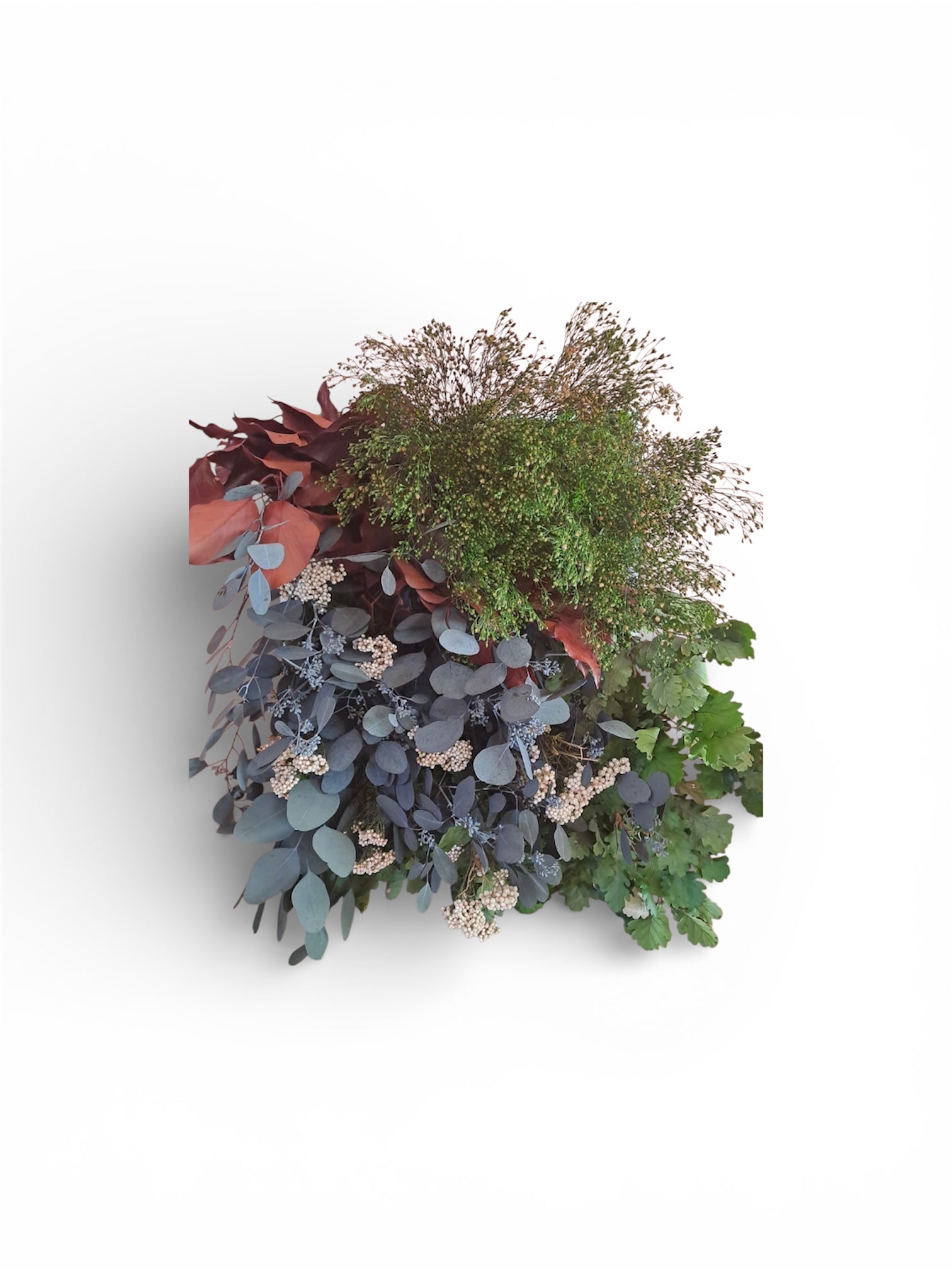 Quadro di verde e piante stabilizzate